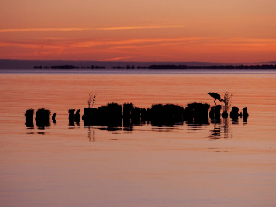 Stettiner Haff - CALVENDO Foto-Puzzle'