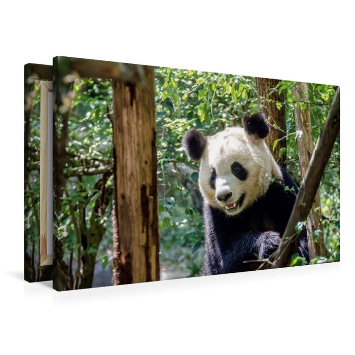 Premium Textil-Leinwand Chengdu