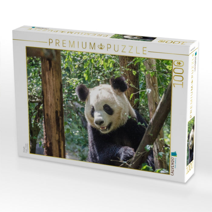 Chengdu - CALVENDO Foto-Puzzle'