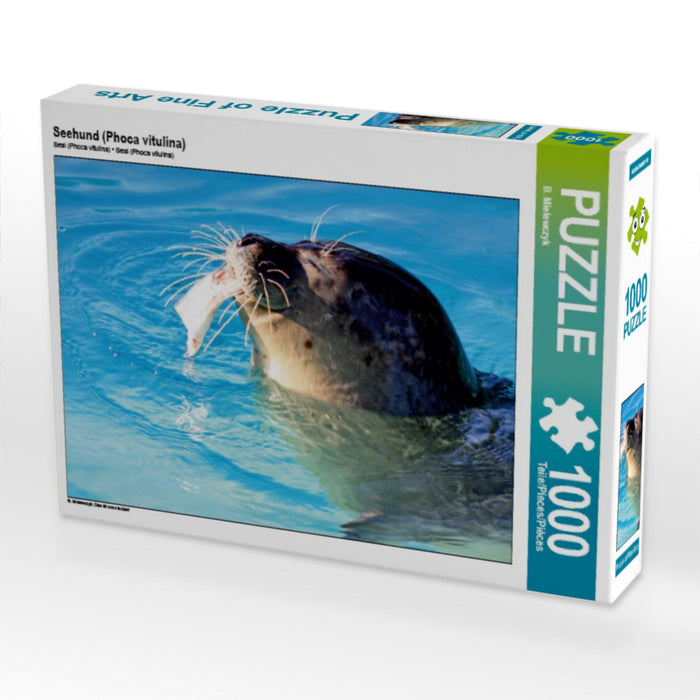 Seehund (Phoca vitulina) 1000 Teile Puzzle quer - CALVENDO Foto-Puzzle'