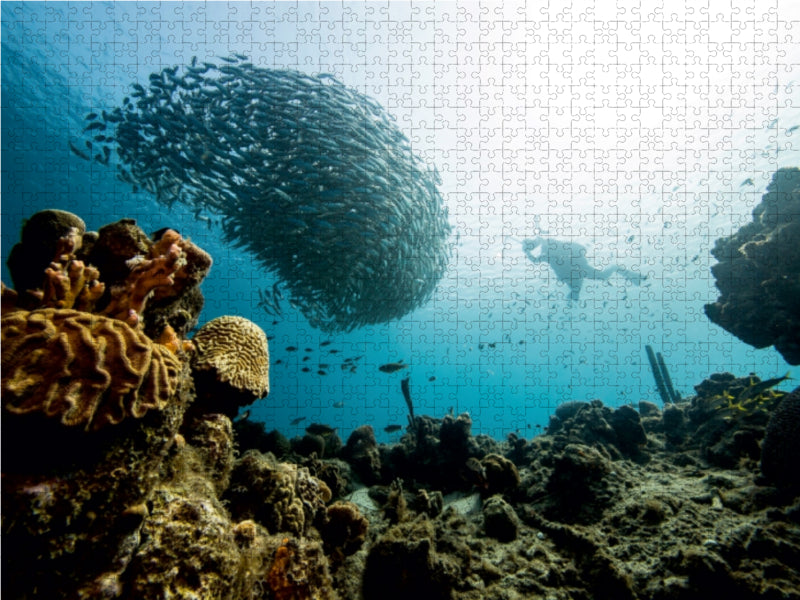 Die Sichel • Curaçao 1000 Teile Puzzle quer - CALVENDO Foto-Puzzle'