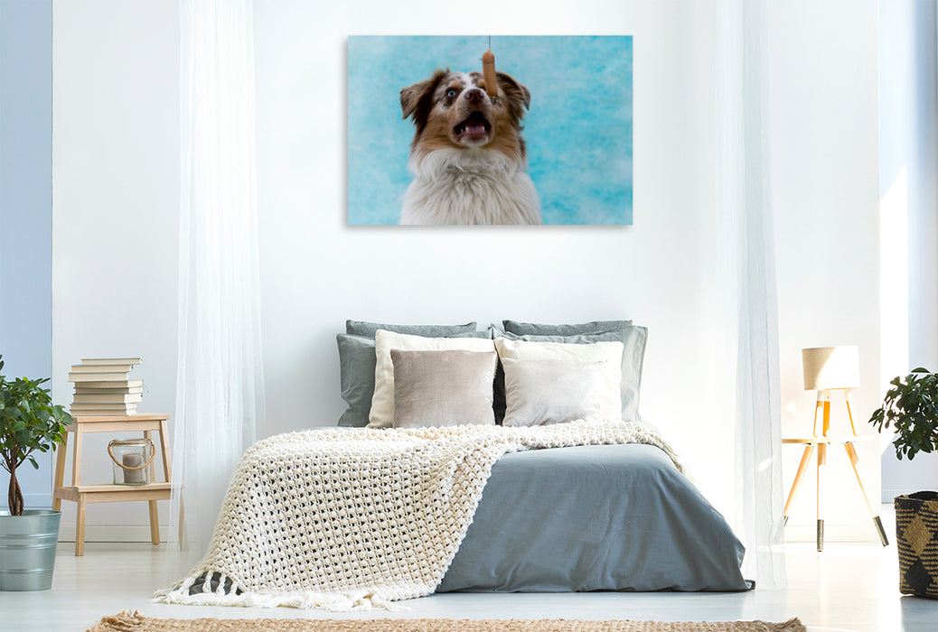 Premium Textil-Leinwand Premium Textil-Leinwand 120 cm x 80 cm quer Überraschter Hund