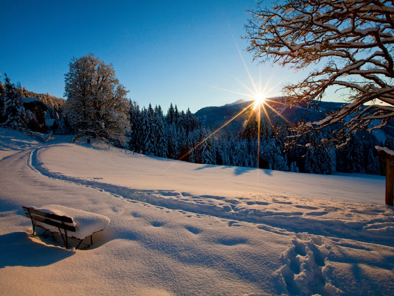 On the Wunschweg in Flachau - CALVENDO photo puzzle 