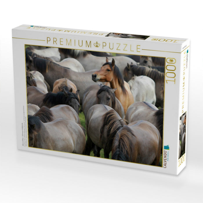 Alles im Blick - Dülmener Wildpferde - CALVENDO Foto-Puzzle'