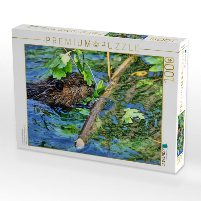 Junger Biber beim Dinner - CALVENDO Foto-Puzzle'