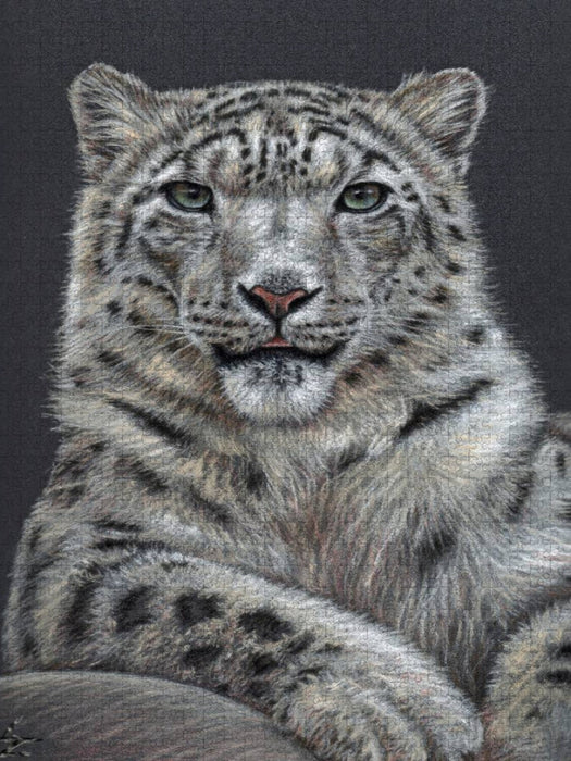 Der Schneeleopard - CALVENDO Foto-Puzzle'
