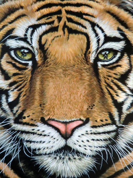 Tiger's Last Roar - CALVENDO Foto-Puzzle'