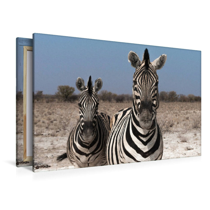 Premium Textil-Leinwand Zebrapärchen bei Rietfontein, Etosha