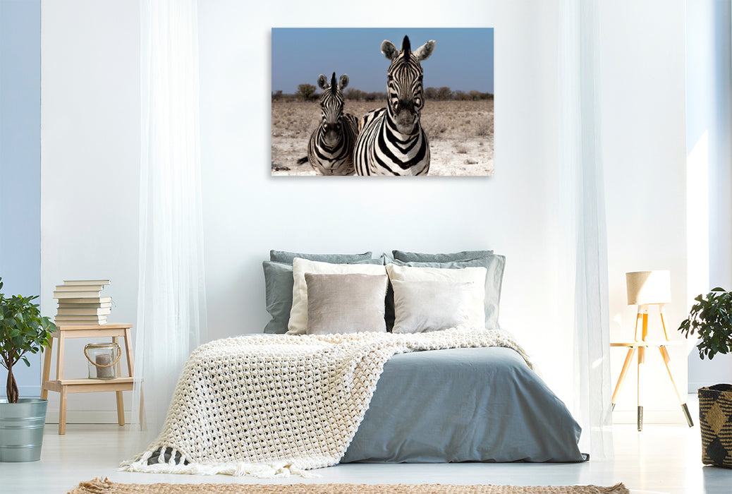 Premium Textil-Leinwand Premium Textil-Leinwand 120 cm x 80 cm quer Zebrapärchen bei Rietfontein, Etosha