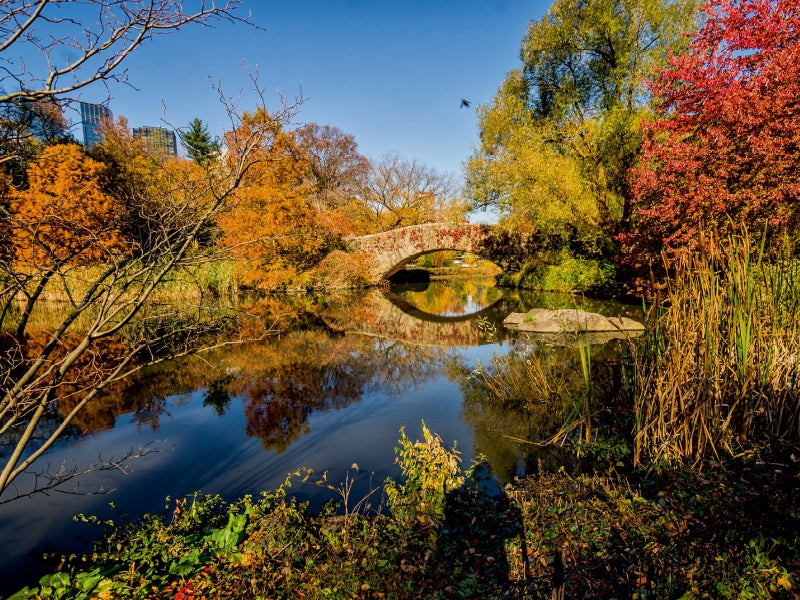 Central Park - CALVENDO photo puzzle 