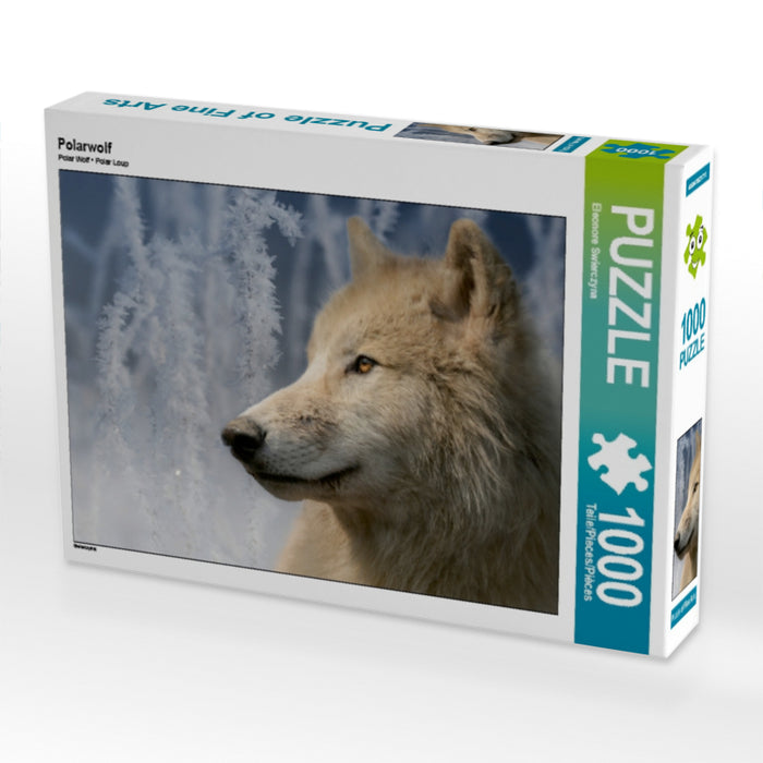 Polarwolf 1000 Teile Puzzle quer - CALVENDO Foto-Puzzle'