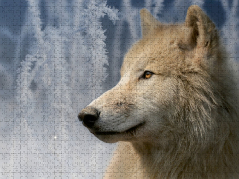 Polarwolf 1000 Teile Puzzle quer - CALVENDO Foto-Puzzle'
