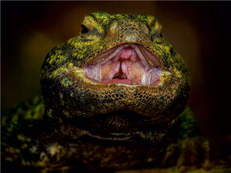 Thorny-tailed Dragon - CALVENDO photo puzzle