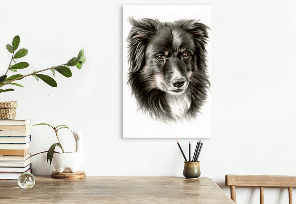 Premium Textil-Leinwand Premium Textil-Leinwand 80 cm x 120 cm  hoch Border Collie