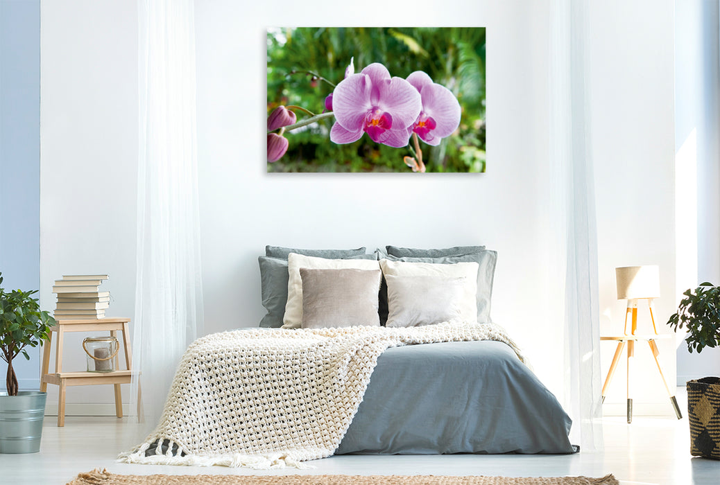 Premium Textil-Leinwand Premium Textil-Leinwand 120 cm x 80 cm quer Orchidee Phalaenopsis Pink