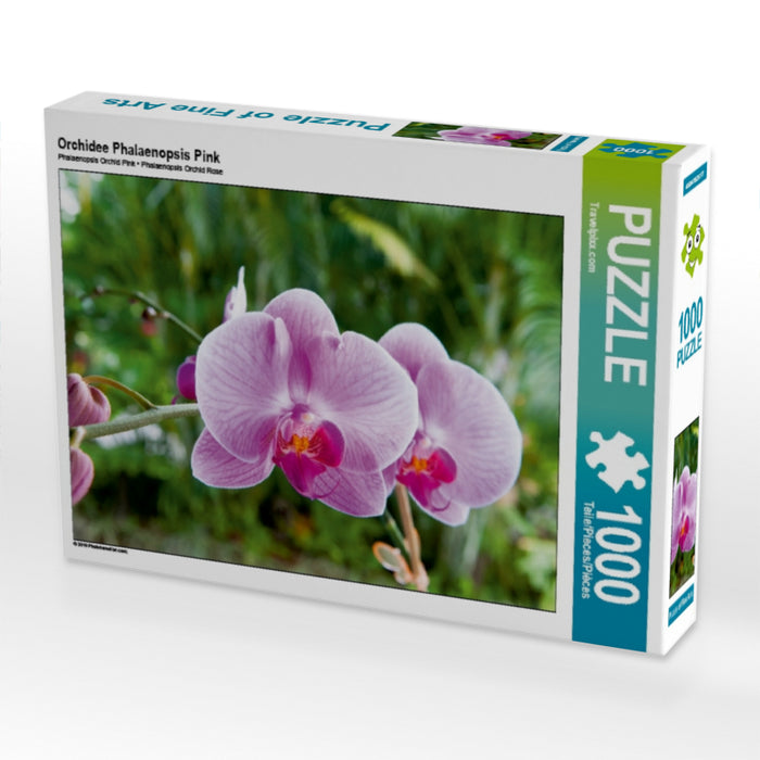 Orchidee Phalaenopsis Pink 1000 Teile Puzzle quer - CALVENDO Foto-Puzzle'