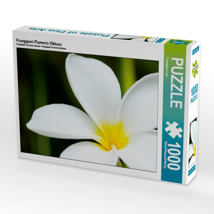 Frangipani Plumeria Obtusa 1000 Teile Puzzle quer - CALVENDO Foto-Puzzle'