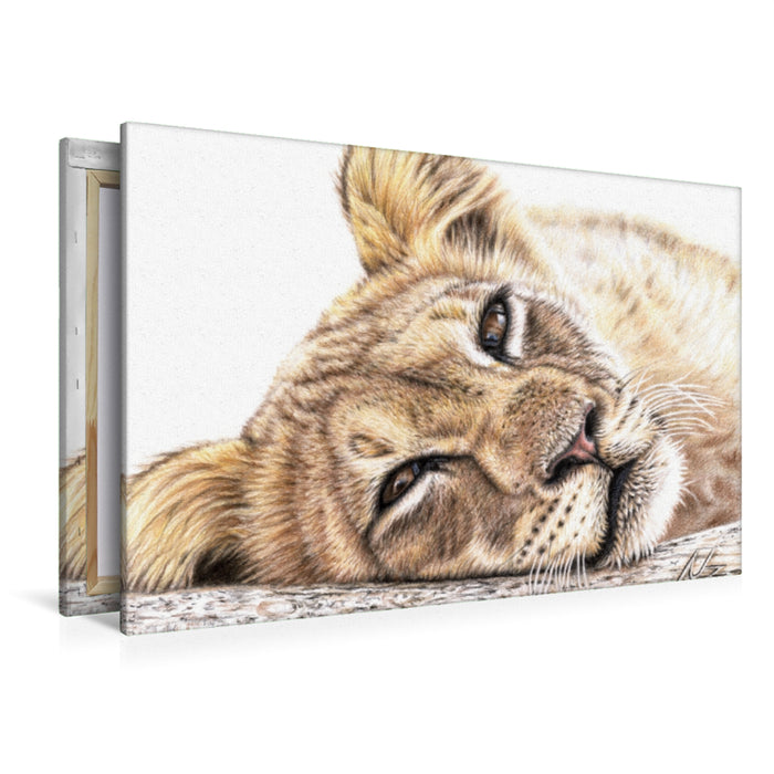 Premium Textil-Leinwand Müder Junger Löwe