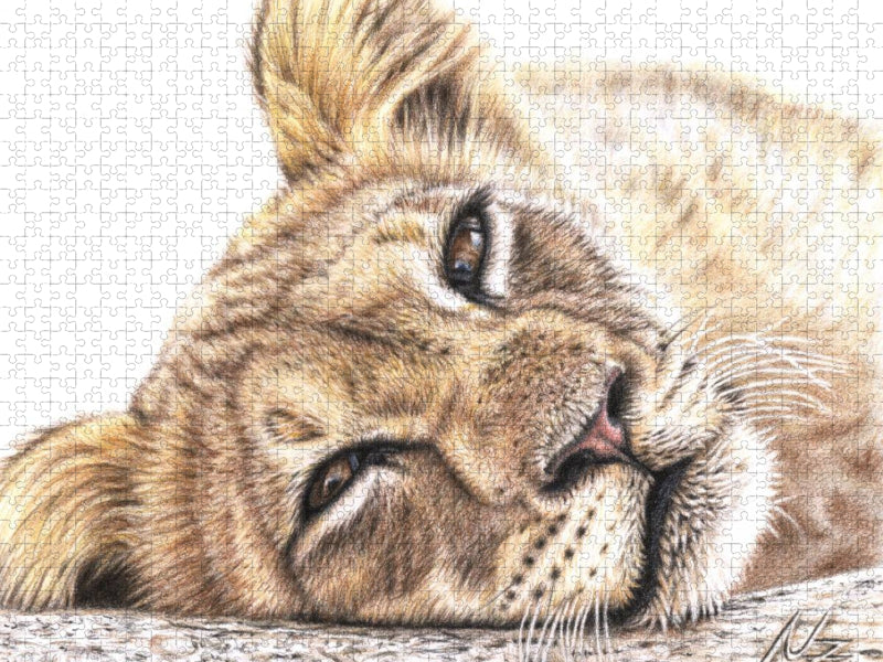 Müder Junger Löwe - CALVENDO Foto-Puzzle'