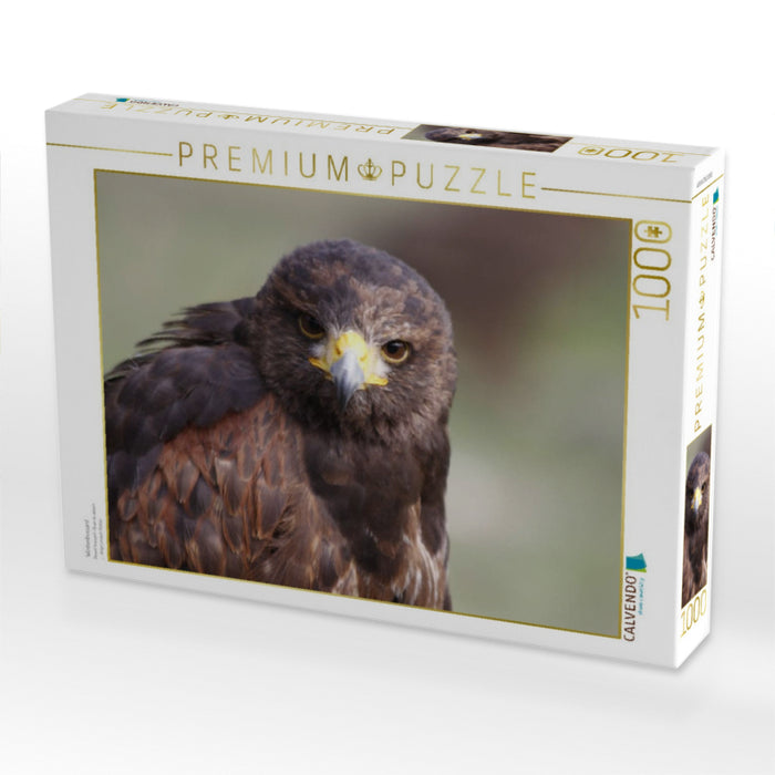 Wüstenbussard - CALVENDO Foto-Puzzle'