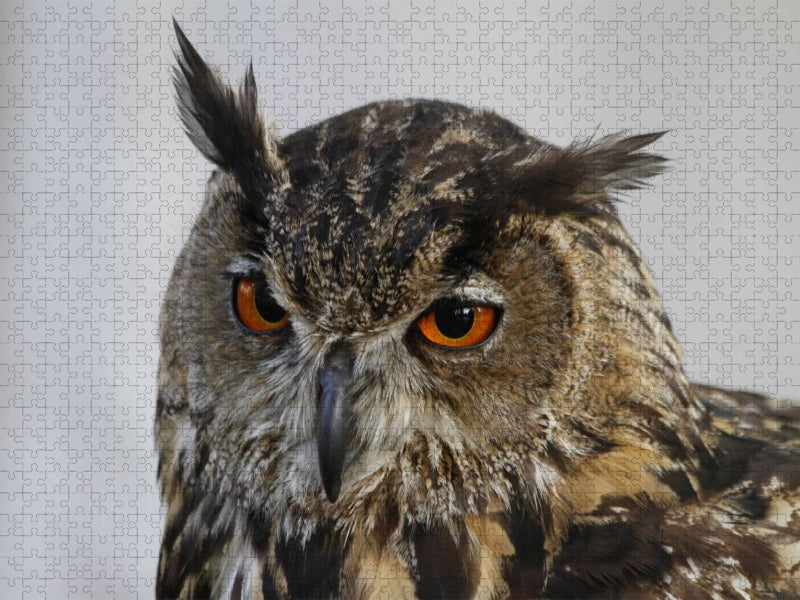 Uhu - CALVENDO Foto-Puzzle'