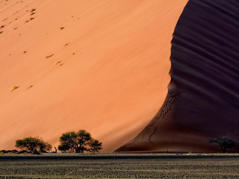 Licht und Schatten im Sossus Vlei 1000 Teile Puzzle quer - CALVENDO Foto-Puzzle'