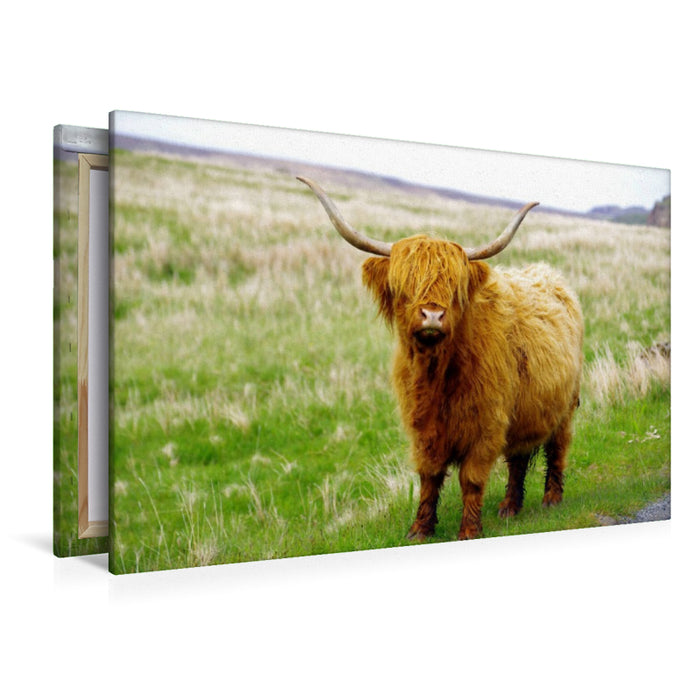 Premium Textil-Leinwand Ein echter Highlander