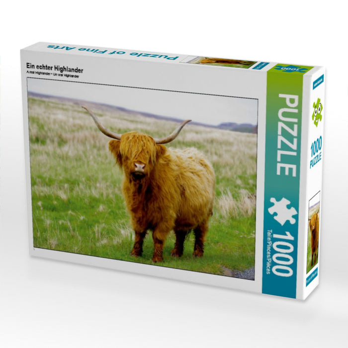 Ein echter Highlander 1000 Teile Puzzle quer - CALVENDO Foto-Puzzle'