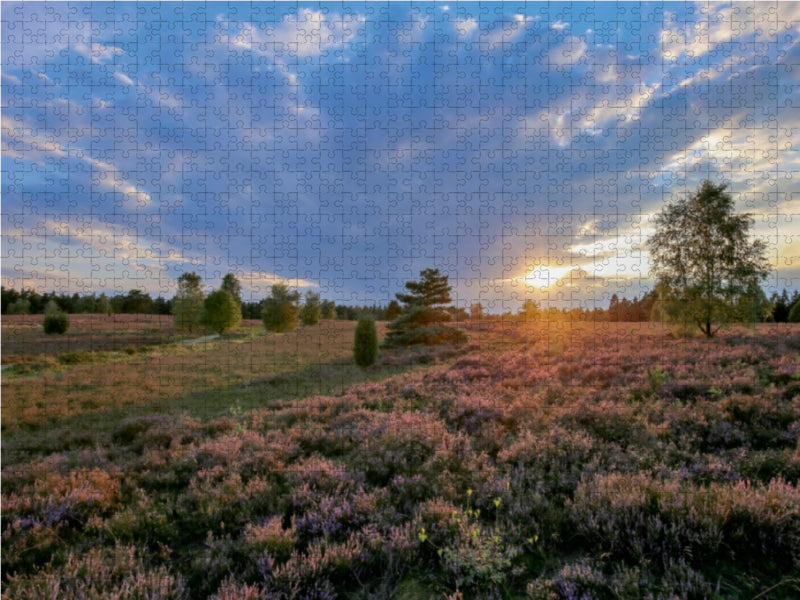 Sonnenuntergang im Büsenbachtal bei Handeloh 1000 Teile Puzzle quer - CALVENDO Foto-Puzzle'