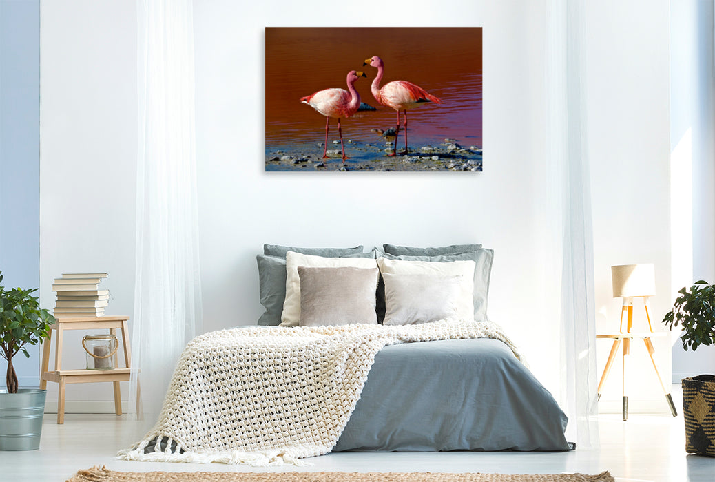 Premium Textil-Leinwand Premium Textil-Leinwand 120 cm x 80 cm quer Flamingos im Salar de Uyuni
