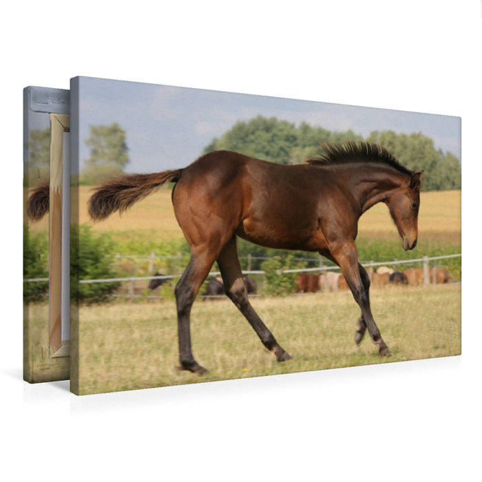 Premium Textil-Leinwand Power