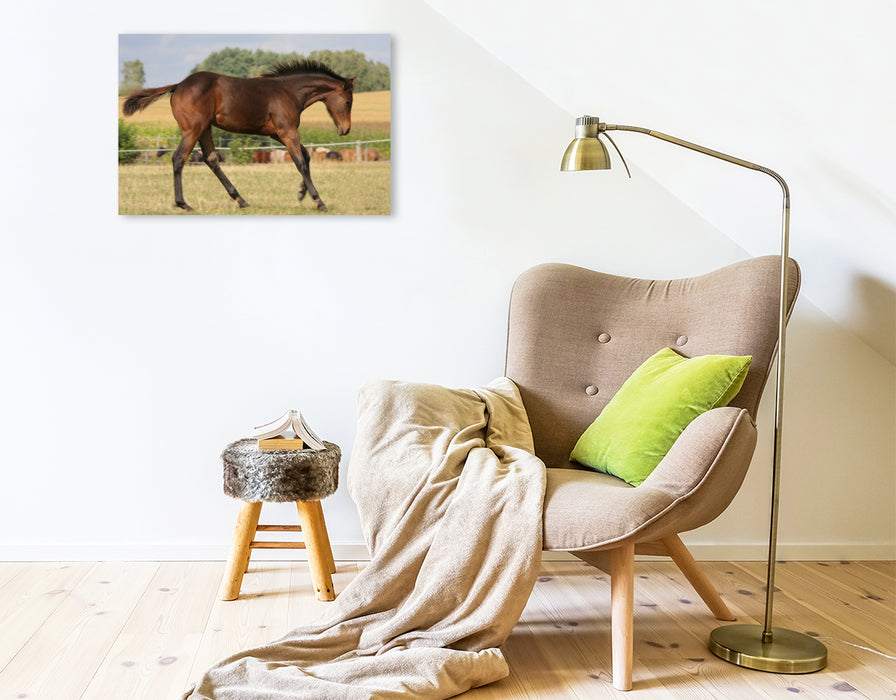 Premium Textil-Leinwand Power