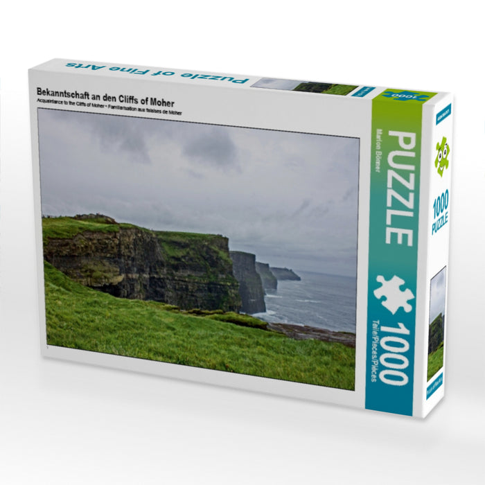 Acquaintance at the Cliffs of Moher - CALVENDO photo puzzle 