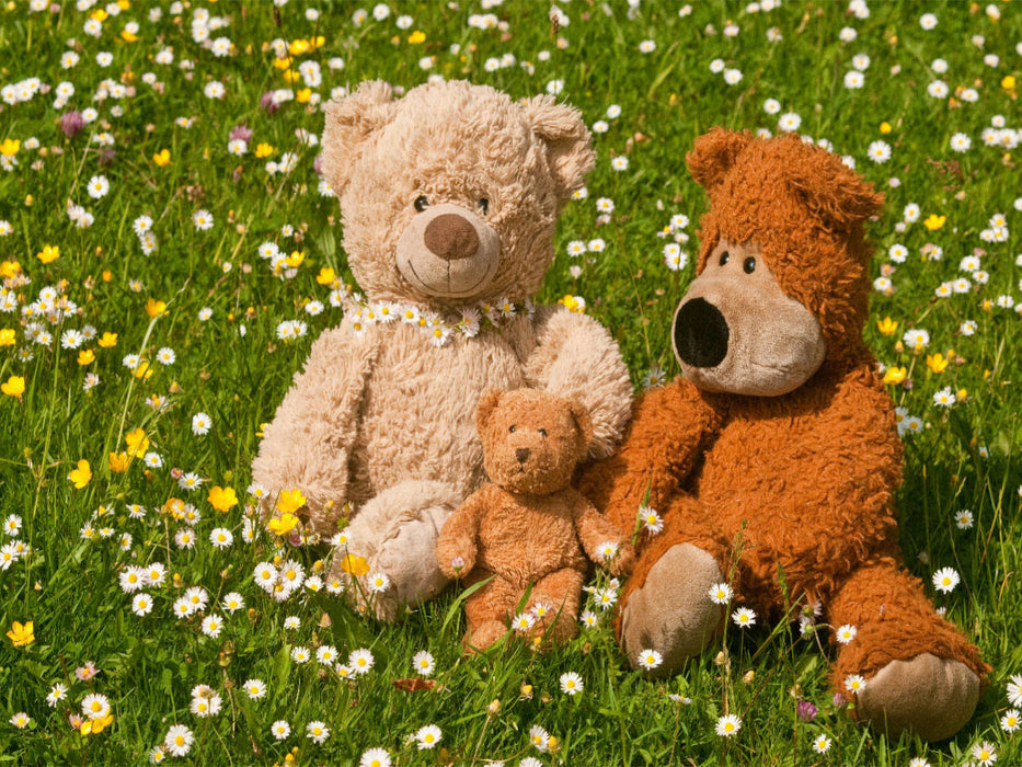 Familie Bär in Gänseblümchen. - CALVENDO Foto-Puzzle'