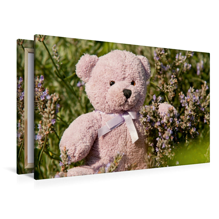 Premium Textil-Leinwand Lila Lavendelbär