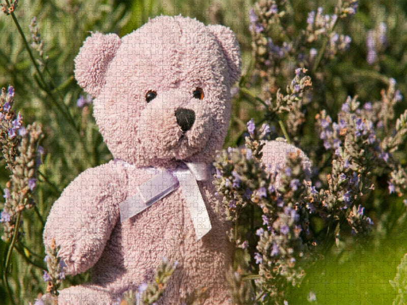 Lila Lavendelbär - CALVENDO Foto-Puzzle'