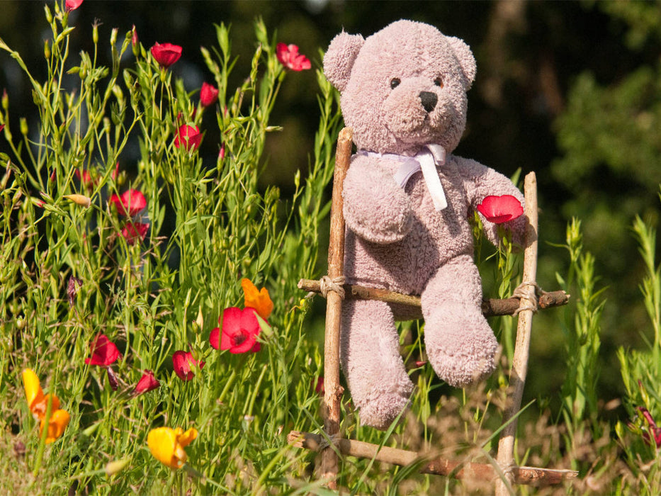 Kletterbär im Garten - CALVENDO Foto-Puzzle'