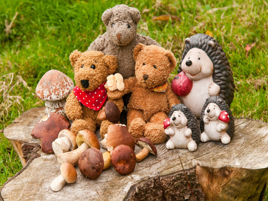 Pilze sammeln macht Spaß - CALVENDO Foto-Puzzle'