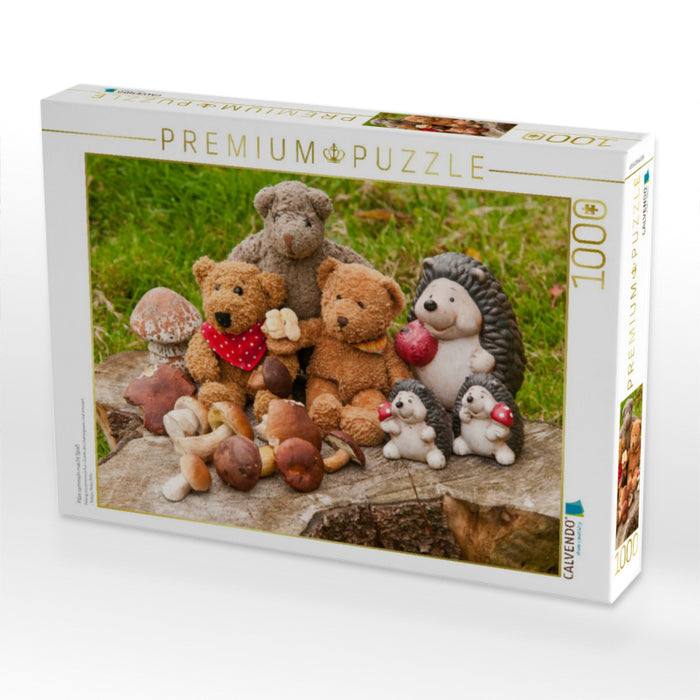 Pilze sammeln macht Spaß - CALVENDO Foto-Puzzle'