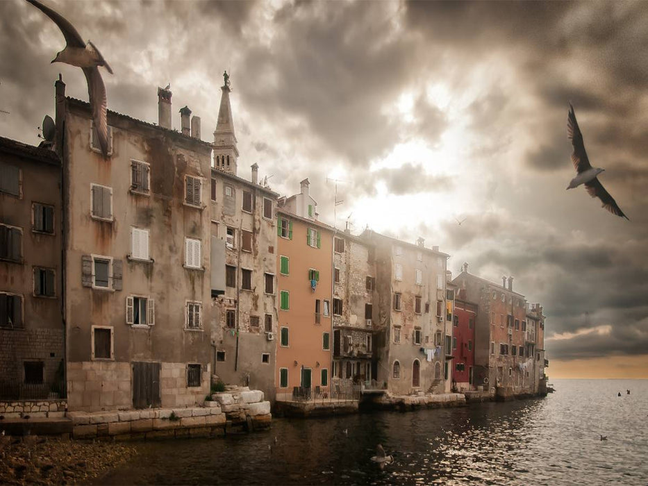 Frei, wie ein Vogel in Rovinj! - CALVENDO Foto-Puzzle'