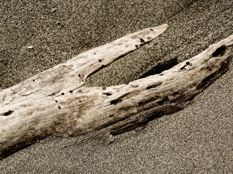 Whale's Tale - CALVENDO photo puzzle 