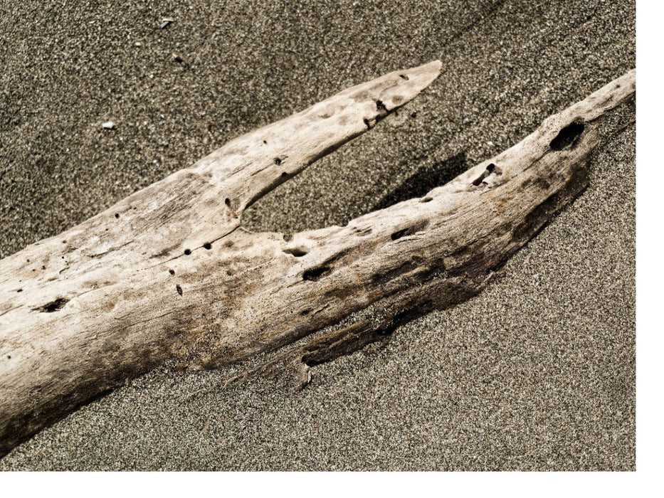 Whale's Tale - CALVENDO Foto-Puzzle'