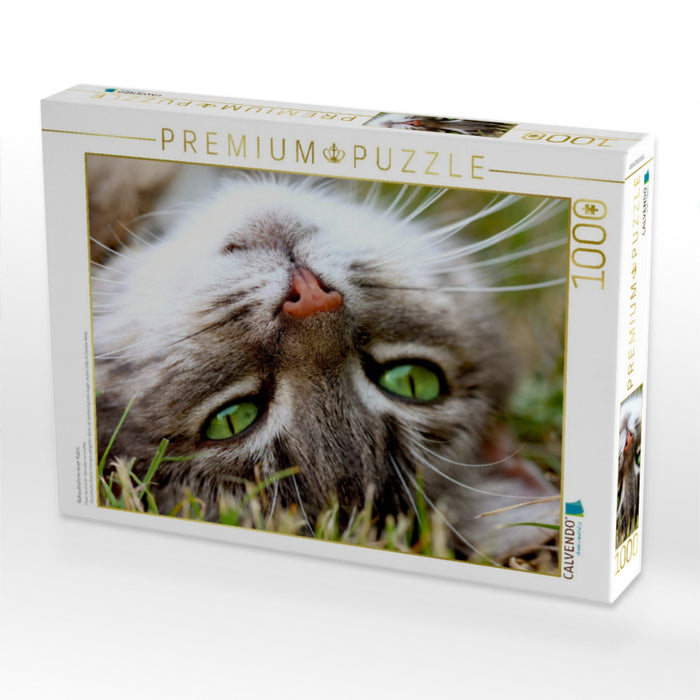 Nahaufnahme einer Katze - CALVENDO Foto-Puzzle'
