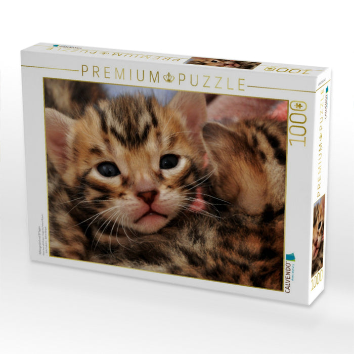 Kittengesicht mit 18 Tagen - CALVENDO Foto-Puzzle'