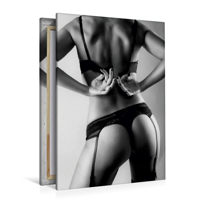 Premium Textil-Leinwand Premium Textil-Leinwand 80 cm x 120 cm  hoch Ein Motiv aus dem Kalender NILU LINGERIE 2017