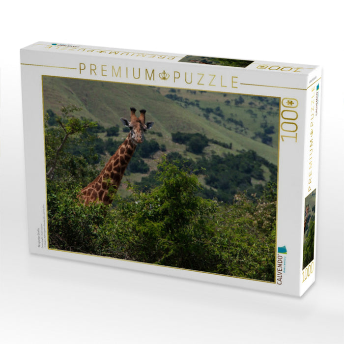 Neugierige Giraffe - CALVENDO Foto-Puzzle'