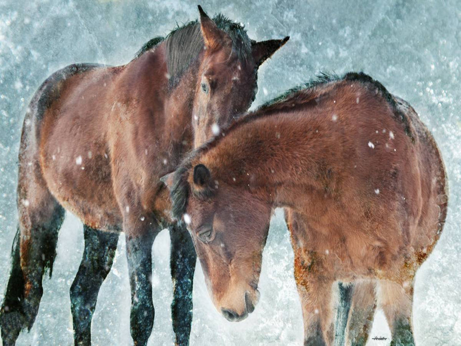 Ein Motiv aus dem Kalender Pferde zum Träumen - CALVENDO Foto-Puzzle'