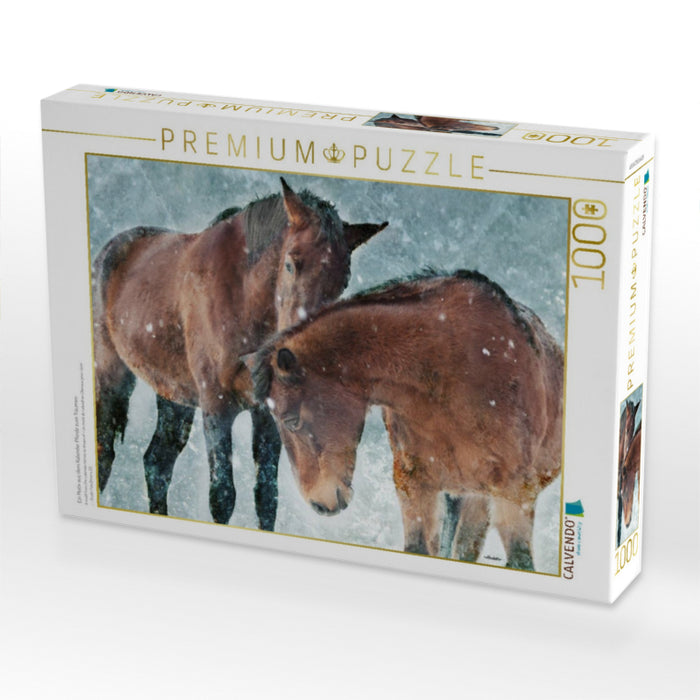 Ein Motiv aus dem Kalender Pferde zum Träumen - CALVENDO Foto-Puzzle'