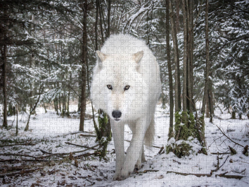 John der weißer Wolf - CALVENDO Foto-Puzzle'