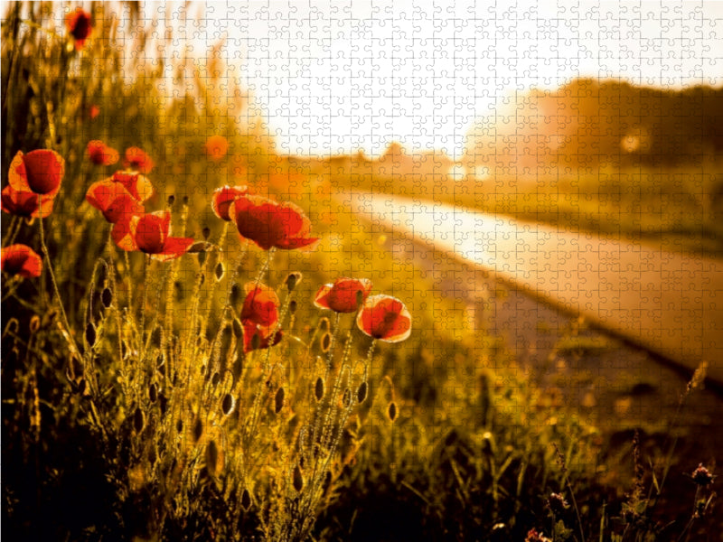 Mohnblumen am Radweg zwischen Heßdorf und Großenseebach 1000 Teile Puzzle quer - CALVENDO Foto-Puzzle'